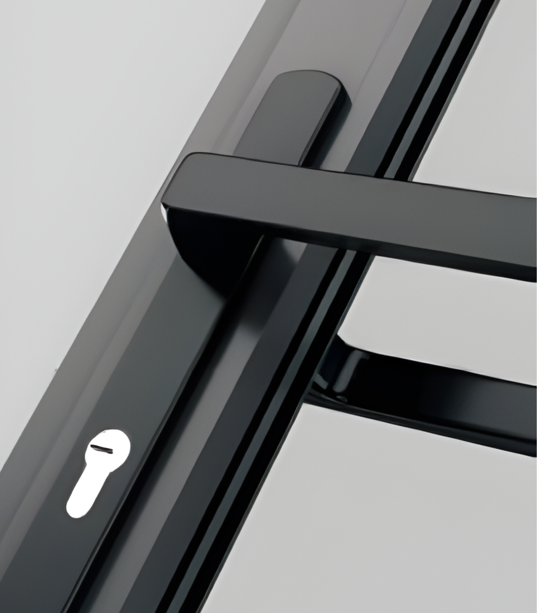 VLX 100 Swing / Entry Door in Las Vegas, NV | Viewlux Windows And Doors Clark County — detail 3