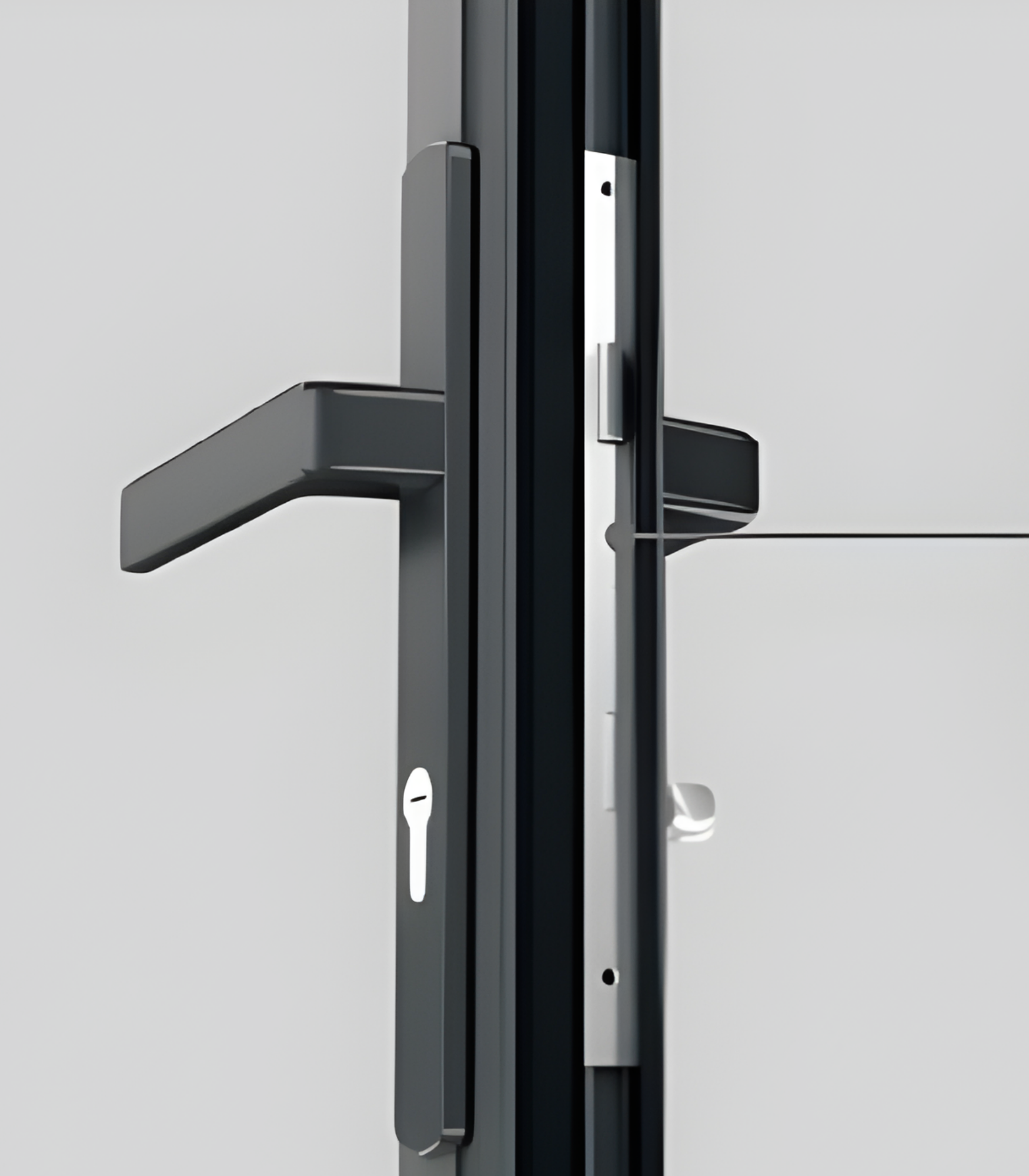 VLX 100 Swing / Entry Door in Las Vegas, NV | Viewlux Windows And Doors Clark County — detail 5